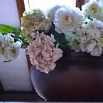 Cosetta